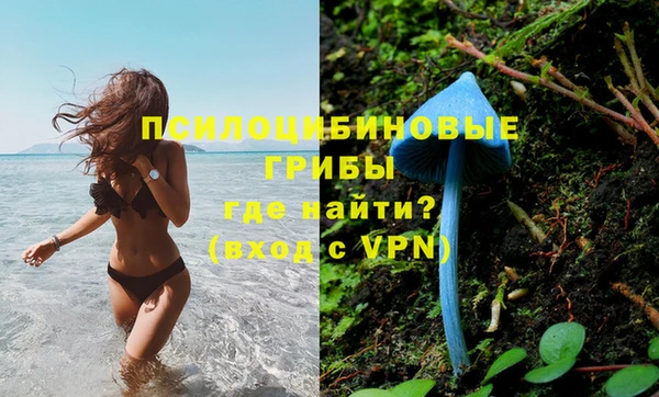 сатива Кинешма