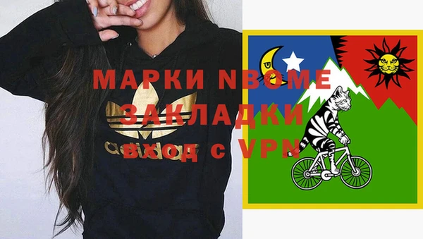 сатива Кинешма