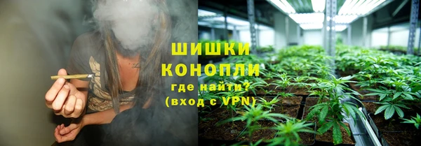 сатива Кинешма